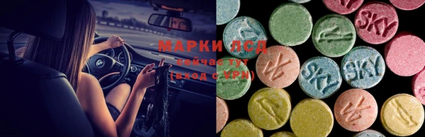 скорость Алзамай