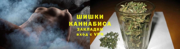 дмт Осташков