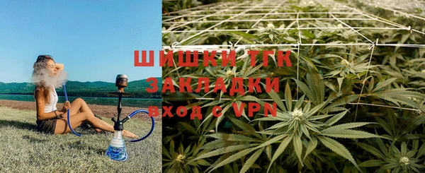 дмт Алексин