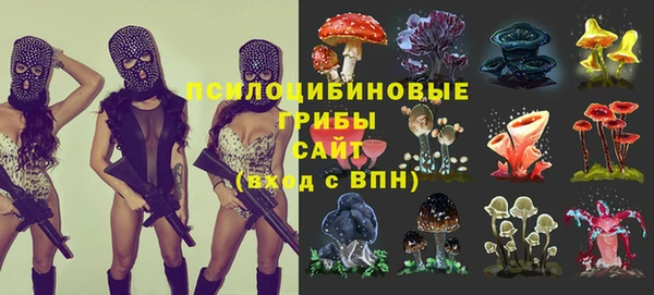 прущие грибы Алексеевка